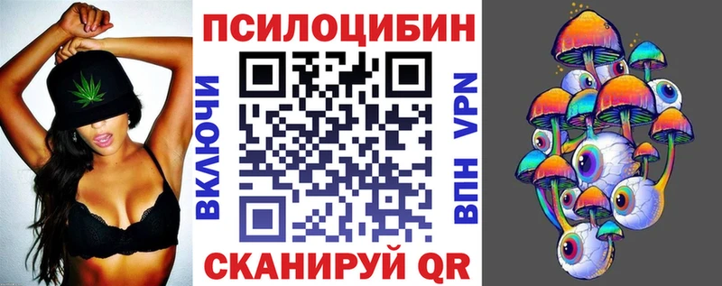 мега рабочий сайт  Красный Холм  даркнет клад  где можно купить наркотик  Галлюциногенные грибы Psilocybine cubensis 